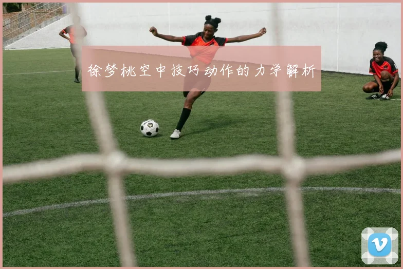徐梦桃空中技巧动作的力学解析