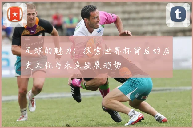 足球的魅力：探索世界杯背后的历史文化与未来发展趋势
